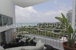 11-amber-road photo thumbnail #8